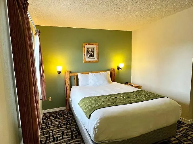 Hotel Legacy & 2*